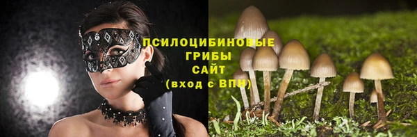 apvp Аркадак