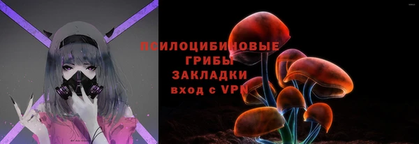 apvp Аркадак
